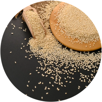 export grade sesame seeds and wooden spoon and bowl on dark surface